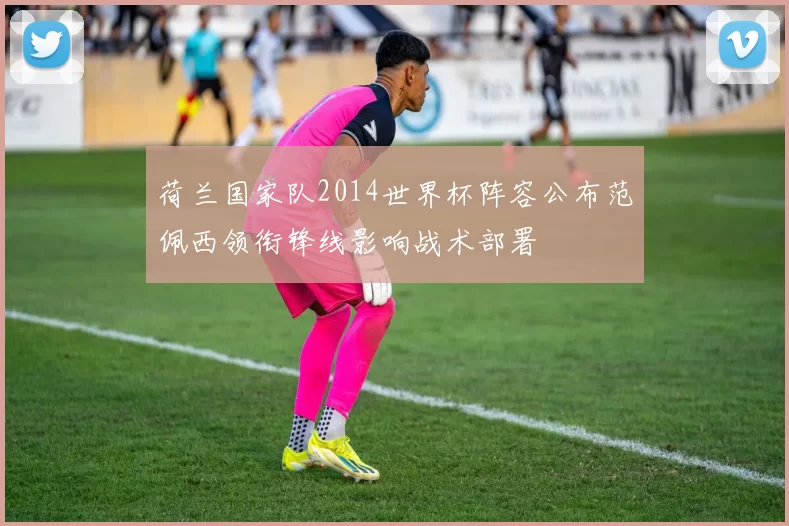 荷兰国家队2014世界杯阵容公布范佩西领衔锋线影响战术部署