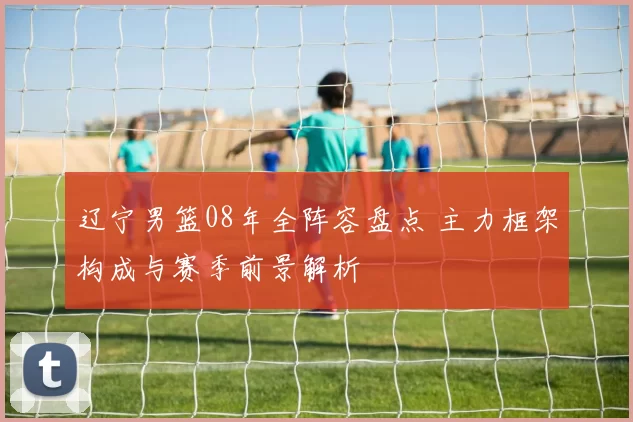 辽宁男篮08年全阵容盘点 主力框架构成与赛季前景解析