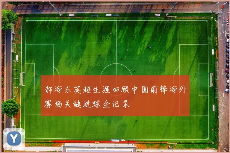 郝海东英超生涯回顾中国前锋海外赛场关键进球全记录